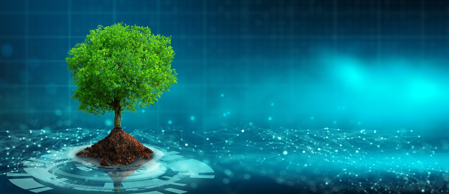 Tree growing out of digital portal